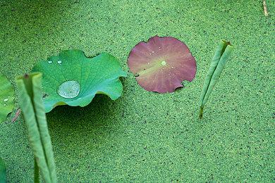 2D动作《雨魂》11月登陆Swich 日式奇幻冒险